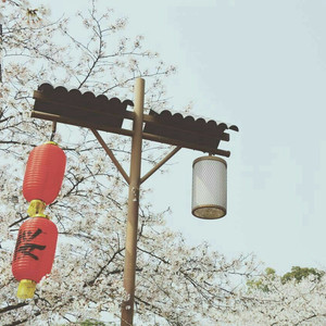 国产麻豆视频网站
