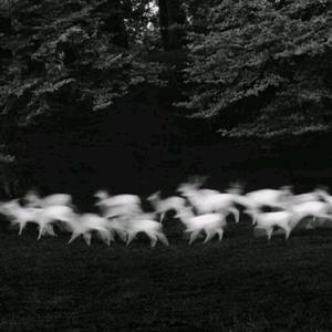 国产麻豆视频网站
