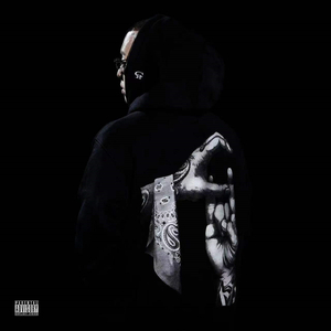 国产麻豆视频网站
