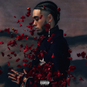 国产麻豆视频网站
