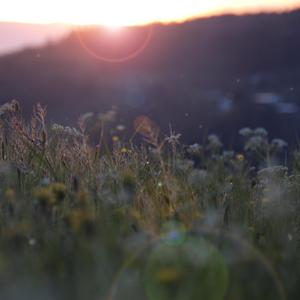 国产麻豆视频网站
